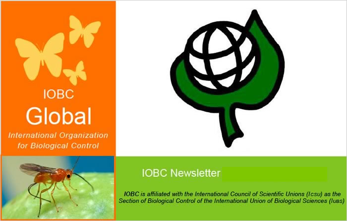 IOBC Newsletter