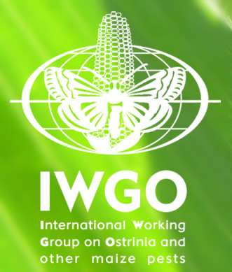 IWGO - Biocontrol of Ostrinia and Other Maize Pests, IOBC-Global Working Group