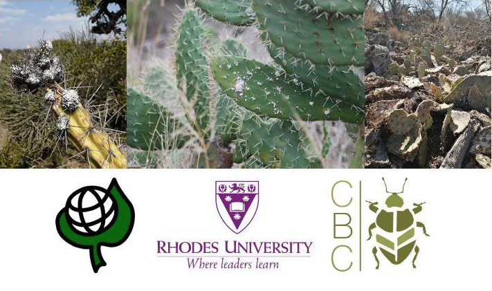 Segunda reunión del Grupo de trabajo internacional sobre cactus (GCWG) de la IOBC, 21-23 de septiembre de 2020, Windhoek, Namibia