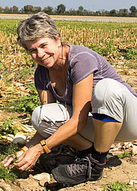 Hariet L. Hinz, field work as biological control practitioner