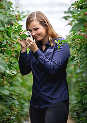 Lisa Broekhuizen, field work as biological control practitioner