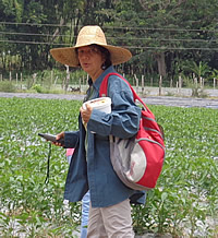 Maria R. Manzano, field work as biological control practitioner