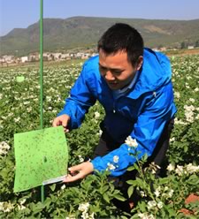 Yulin Gao, field work as biological control practitioner
