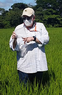 Bruno Zachrisson, field work as biological control practitioner