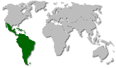 Neotropical Regional Section (NTRS) of IOBC